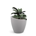 thumbnail image 2 of Mayne Modesto Round Planter, Choose Size, 2 of 6