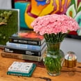 thumbnail image 7 of Member's Mark Carnations, choose color and stem count, 7 of 7