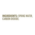thumbnail image 3 of Saratoga Sparkling Spring Water 16 fl. oz., 24 pk., 3 of 5