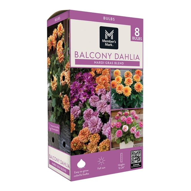 Member's Mark Balcony Dahlia Mardi Gras Blend Dormant Bulbs, 8pk
