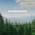thumbnail image 8 of Dr. Squatch Fresh Falls Stick Deodorant, 3 pk., 8 of 9
