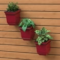 thumbnail image 3 of Mayne Valencia 8" Wall Mount Planter, Set of 3, 3 of 10