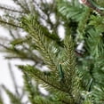 thumbnail image 7 of Member's Mark 7.5' Duchess Fir Pre-Lit Christmas Tree, 7 of 10