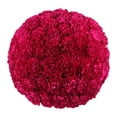 thumbnail image 1 of Member's Mark Carnations, choose color and stem count, 1 of 7