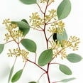 thumbnail image 3 of Member's Mark Seeded Eucalyptus Greenery, 40 stems, 3 of 5
