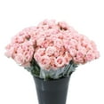 thumbnail image 1 of Member's Mark Spray Roses, Choose color variety and stem count, 1 of 4