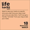 thumbnail image 2 of Life Hacks 2026 Day-to-Day Calendar, 2 of 5