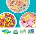 thumbnail image 5 of YumEarth Organic Candy Favorites Variety Pack, 0.5 oz., 30 pk., 5 of 6