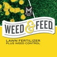 thumbnail image 6 of Member's Mark Weed and Feed, 28-0-3 14M, 6 of 7
