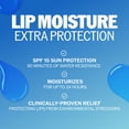 thumbnail image 5 of ChapStick Honey Variety Pack, 12 ct., 5 of 9