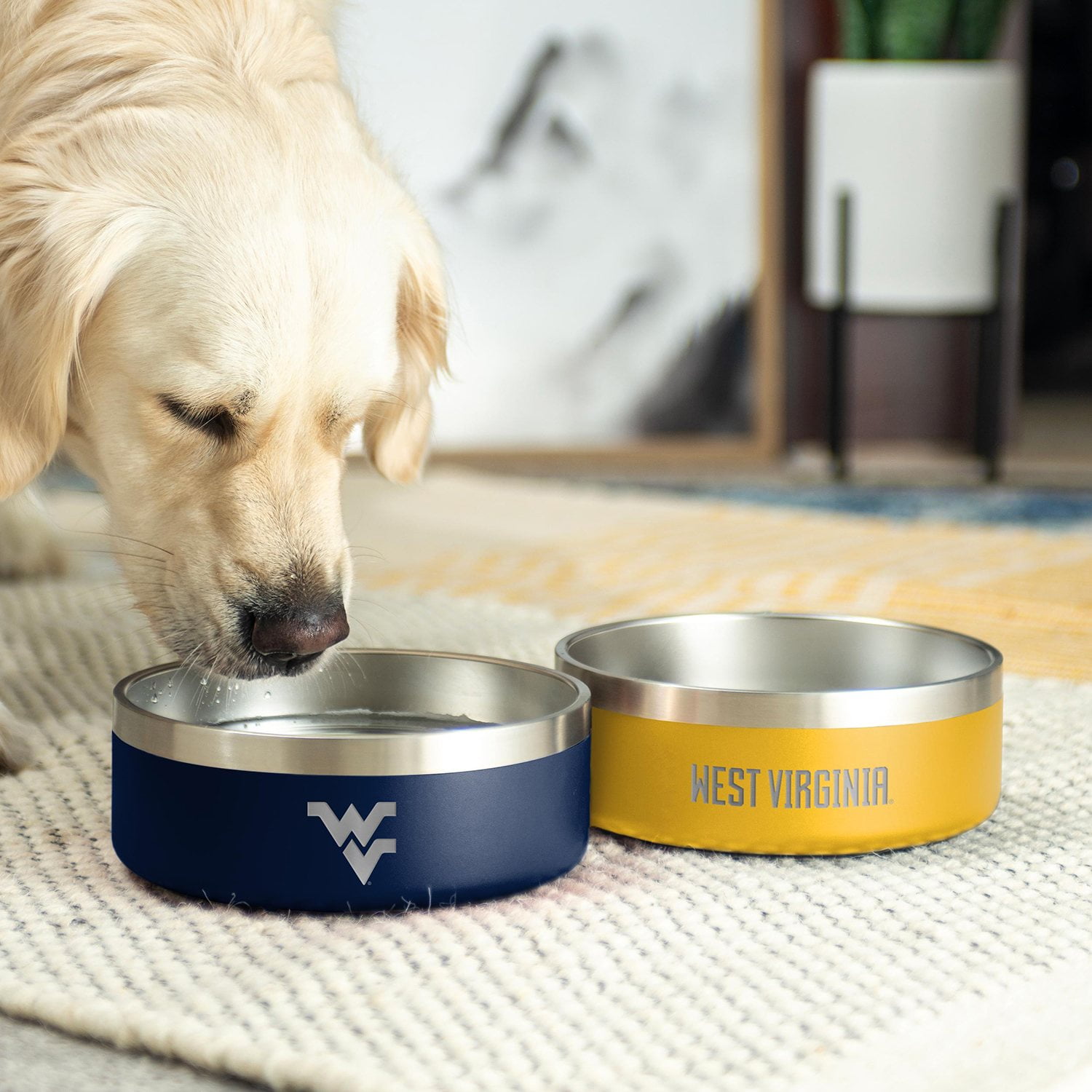 NCAA 2 pk. Stainless Steel Dog Bowls - Samsclub.com