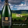 thumbnail image 4 of Member's Mark Sparkling Wine, 1.5 L, 4 of 6