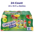 thumbnail image 4 of Snapple Juice Drink Variety Pack, 16 fl. oz., 24 pk., 4 of 14