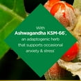 thumbnail image 3 of Nature's Bounty Anxiety & Stress Relief Ashwagandha KSM-66 Supplement Tablets 140 ct., 3 of 5