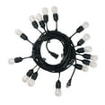 thumbnail image 2 of Honeywell 48' LED Dual Filament Vintage String Lights, 2 of 5