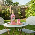 thumbnail image 4 of Jose Cuervo Dragon Fruit Lemonade Margarita Cocktail, 1.75 L, 4 of 4