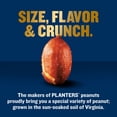 thumbnail image 12 of Planters Special Reserve Salted Peanuts, 34 oz., 12 of 12