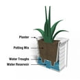 thumbnail image 5 of Mayne Lakeland 20" Square Planter, 5 of 7