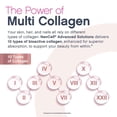 thumbnail image 7 of NeoCell® Multi Collagen + Biotin Mized Fruit-Flavored Powder, 16 fl. oz. (473 mL), 7 of 9