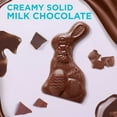 thumbnail image 6 of Russell Stover Easter Bunny Solid Milk Chocolate Candy Rabbits, 2 pk., 6 of 7