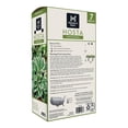 thumbnail image 2 of Member's Mark Hosta Minuteman Dormant Bulbs, 7pk, 2 of 9