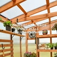 thumbnail image 11 of Backyard Discovery 11' x 7' Modern Cedar Greenhouse - DIY, 11 of 16
