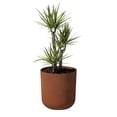 thumbnail image 6 of Veradek Patina Series 20" Round Planter, 6 of 9