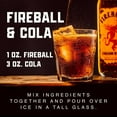 thumbnail image 5 of Fireball Square Party Bucket Whisky, 50 ml, 25 pk., 5 of 7