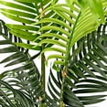 thumbnail image 5 of Faux 72" Palm Tree in a Pot, 5 of 6