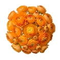thumbnail image 1 of Ranunculus, 60 stems, choose color, 1 of 6