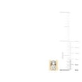 thumbnail image 4 of 1.0 CT. T.W. Diamond Band in 14K Yellow Gold, I I1, 4 of 4