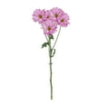 thumbnail image 3 of Member's Mark Pompon Daisies, 90 stems (Choose color), 3 of 4