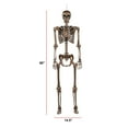 thumbnail image 5 of Member's Mark Talking Skeletons, Set of 2, 5 of 9