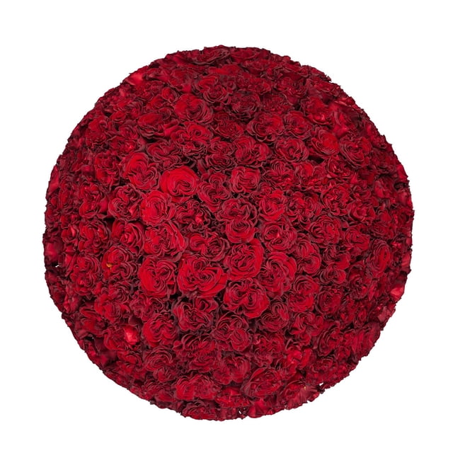 Member's Mark Ecuadorian Premium Roses, choose color variety and stem ...