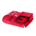 thumbnail image 4 of Logo Brands Texas Tech Red Raiders 60"x70" Super Plush Blanket, 4 of 7