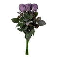 thumbnail image 5 of Member's Mark Farm Fresh Velvet Roses, choose color and stem count, 5 of 7