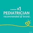 thumbnail image 3 of Pampers Swaddlers Diapers (Choose Your Size), 3 of 10