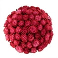 thumbnail image 2 of Member's Mark Farm Fresh Velvet Roses, choose color and stem count, 2 of 6