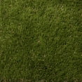 thumbnail image 3 of Select Surfaces Forest Green Artificial Grass, Assorted Sizes, 3 of 4
