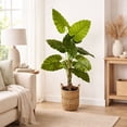 thumbnail image 3 of Artificial 5.5' Broad Leaf Plant in a Neutral Handwoven Handled Basket, 3 of 5