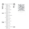 thumbnail image 5 of Lab Created Round Cut Diamond Stud Earrings, 5 of 8