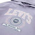 thumbnail image 5 of Levi's Kids Collegiate Hoodie, 5 of 7