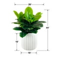 thumbnail image 5 of Artificial Premium Rubber Plant in Fluted Off White Pot, 5 of 5