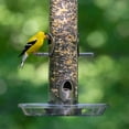 thumbnail image 10 of Audubon Park High Energy Blend Wild Bird Food, Premium Mix of Seeds and Nuts, 15 lbs., 10 of 10