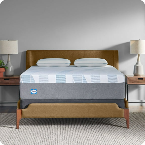 Sealy Dreamlife 14" Soft Memory Foam Mattress