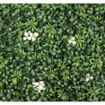 thumbnail image 7 of Select Surfaces Artificial Hedge Panels, 2-Pack, Choose Type, 7 of 7