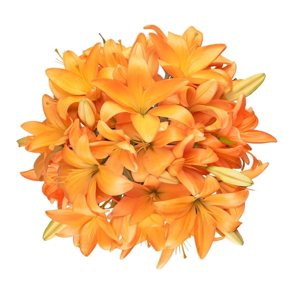 Member's Mark LA Hybrid Lilies, choose color and stem count