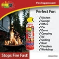 thumbnail image 4 of Fire Gone 16 oz Fire Extinguishing Spray-2 pack, 4 of 7