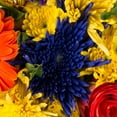 thumbnail image 2 of Mixed Farm Bunch, Fall Harvest (10 bunches), 2 of 3