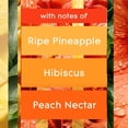 thumbnail image 6 of Glade PlugIns Scented Oil, Hawaiian Breeze, 1 Warmer + 9 Refills, 6 of 12